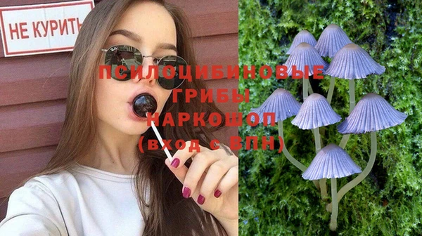 дурь Алексин