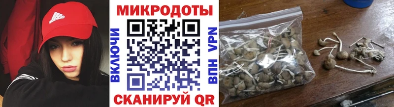 МЕГА где продают наркотики shop формула Псилоцибиновые грибы Psilocybe Петушки